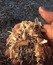 Stefan Hörsch gewerbliche Dienstleistungen in Land und Forstwirtschaft Bild 3