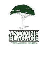 Antoine élagage image 7