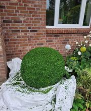 RX Immobilienservice