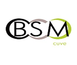 BSM Cuve image 4