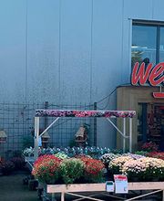 Harmelen Welkoop