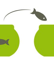 trennpunkt GmbH Bild 1