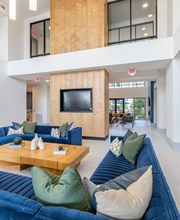 Alleia Watters Creek Apartments image 2