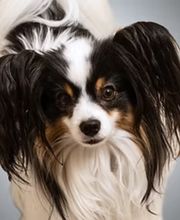 Ernst & Seitenspinner PartGmbB Bild 7