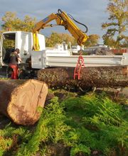 A Fleur d'Ecorce EURL image 4