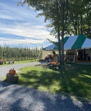 Sunrise Orchards image 5