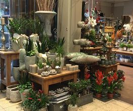 Blumen Interfleur Floristik & Wohnaccessoires Bild 7