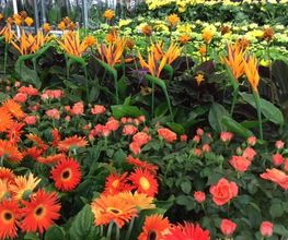 hagebaumarkt Schwerin Bild 16