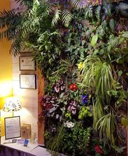 Néo Coaching - Hypnothérapie image 1