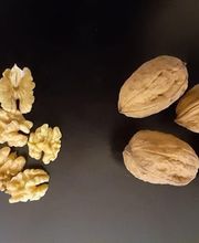 Huilerie Pré Girard Bild 5