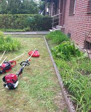 Bantak Gartenpflege und Gebäudereinigung Bild 3