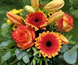 Blumen-Ecke Romana Hoss Bild 10