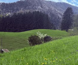 Gut Pfotental Tierfutter Bild 9