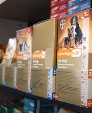 Highlands-Eldorado Veterinary Hospital image 16