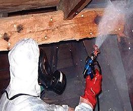 Bio Pest Services B.P.S. image 5