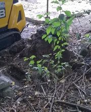 UCA - Umwelt-, Container- und Abbruchservice Marcel Luczka Bild 13