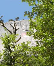 Gemeinde Welschenrohr-Gänsbrunnen Bild 4