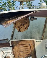 Breizh Nuisibles Services image 20