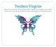 Tendero Virginie