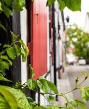 TANIS Immobilien Bild 5