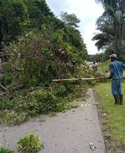 Services De Nettoyage image 7