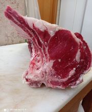 Gallery Professionale