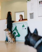 Vet-Zentrum Rosenheim Bild 6
