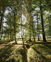 Château de Vault de Lugny image 3