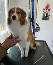 Chez Miss Perle image 9