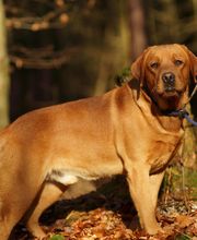 Tanja Wiedenmann Bild 8