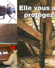 Protrat SAS image 18