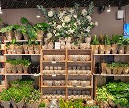 Søstrene Grene image 1