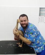 Clinica Veterinaria Exotia Santa Ursula imagen 12