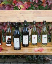 Le Bôle d'Or Bild 3