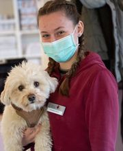 Kleintierpraxis DOCPOX Hannover Bild 9