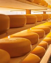 Westland Kaasspecialiteiten afbeelding 4