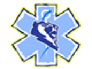 Ambulances DSA et Lion