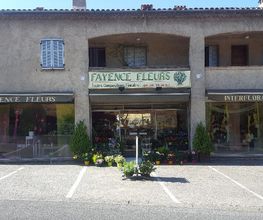 Fayence Fleurs image 8