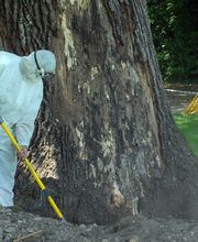 ABDF Bonadei & Chassot Bild 12