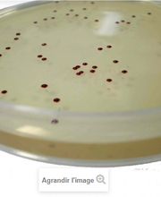 Aquanalyse Laboratoire image 6