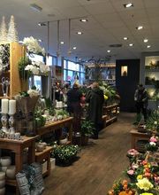 Blumen Interfleur Floristik & Wohnaccessoires Bild 1