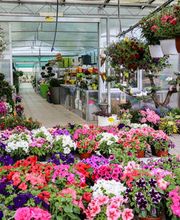 Gallery Professionale