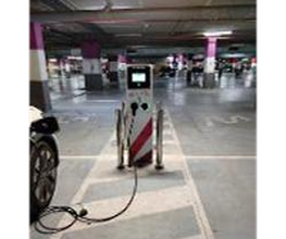Wenea imagen 4