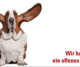 Hörberatung Zürich Mogg GmbH Bild 5
