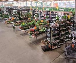 HORNBACH Gartencenter Wolfsburg Bild 3