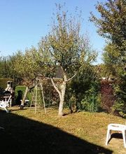 Baron Frederic image 9