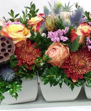 Coll's Garden Center & Florist of Jaffrey, LLC image 2