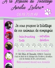 À la Maison du Toilettage image 5