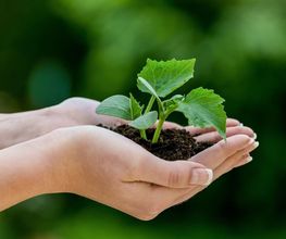 BeCoSe - Beratung, Coaching & Seminare Bild 3