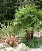 Maris Paysage image 5